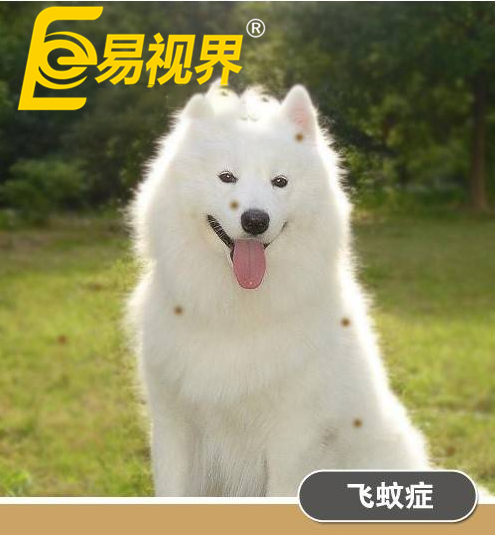 不一樣的眼病，不一樣的世界