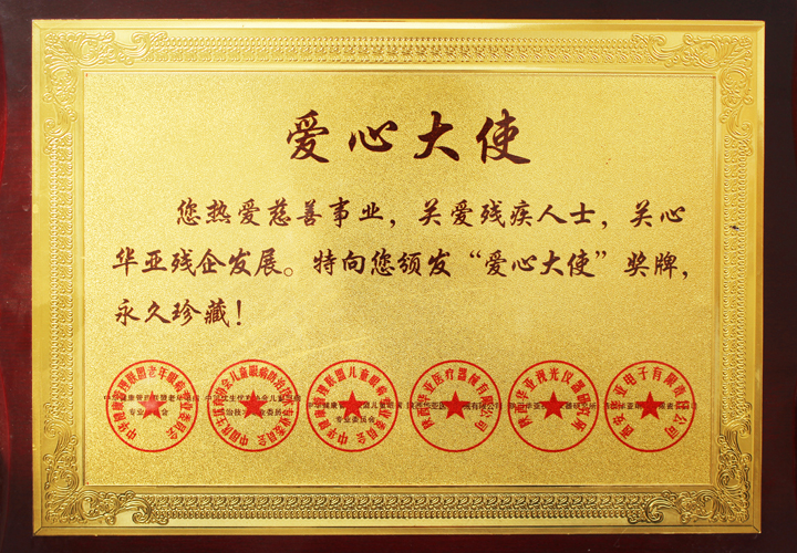 易視界榮獲愛(ài)心大使榮稱(chēng)